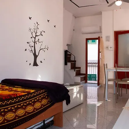 Vintage Apartment Vernazza